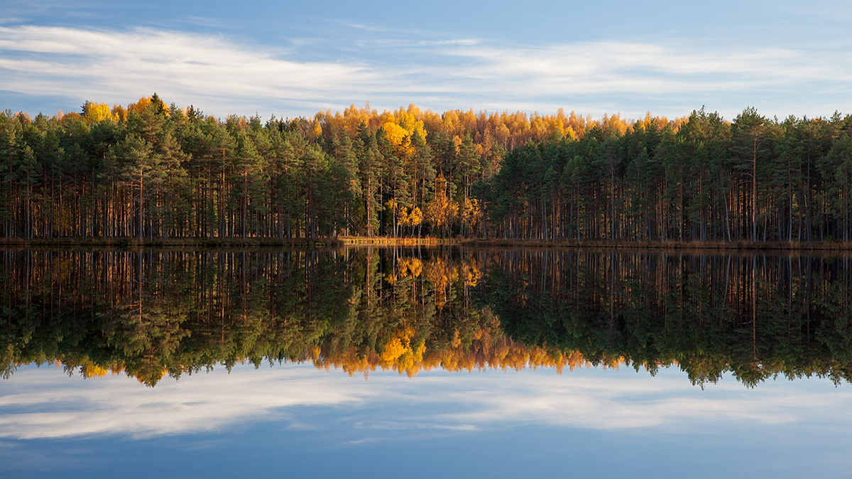 Lasa järv